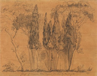 Trees in the Villa Negroni Planted by M. Angelo by John Flaxman
